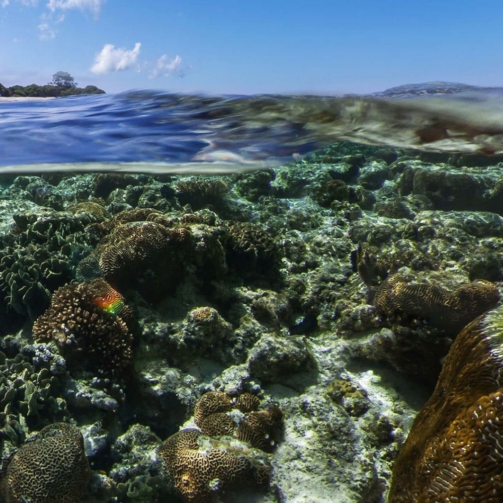 Meet your Posher, Deleon